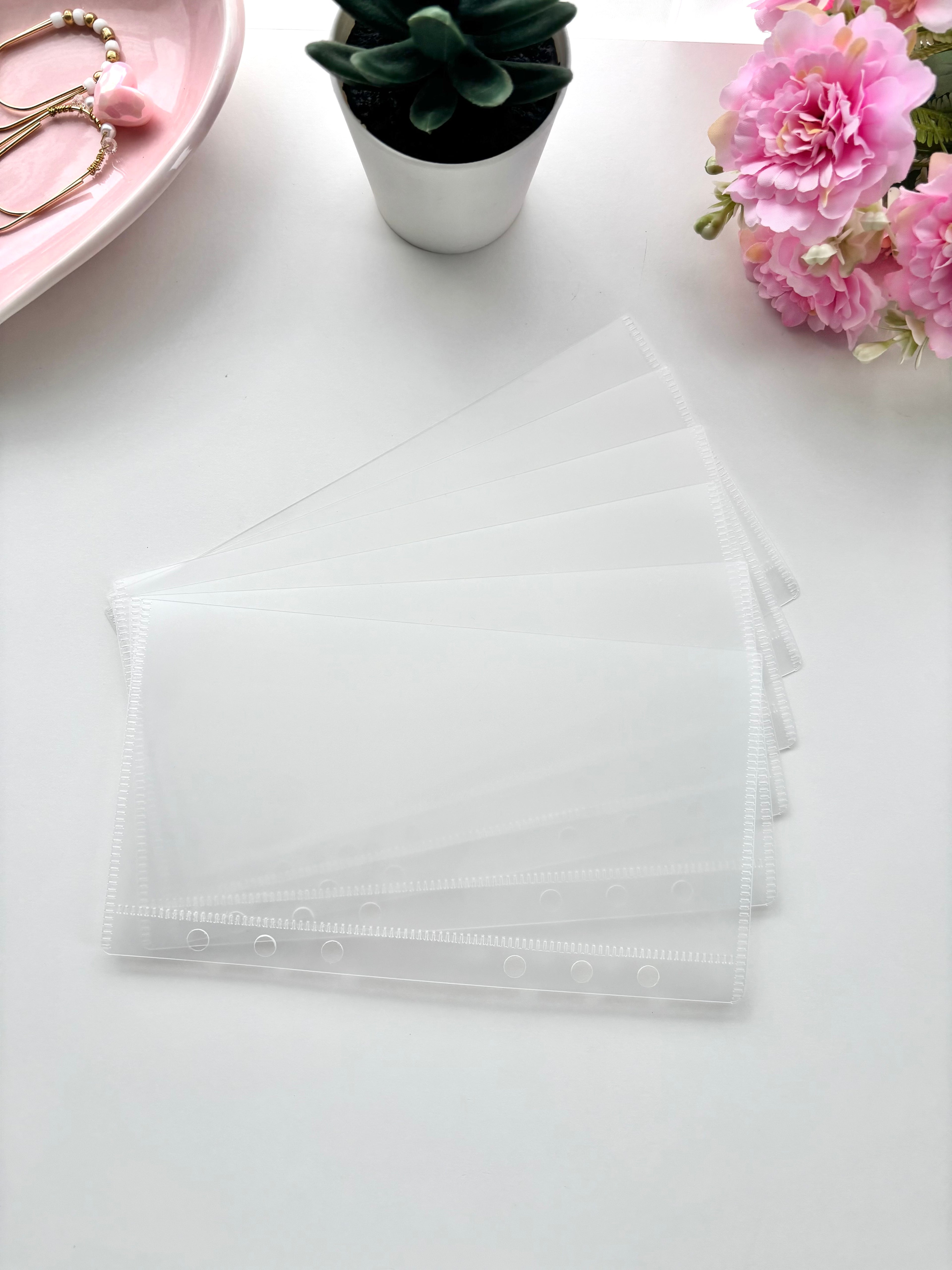 Frosted Cash Envelopes