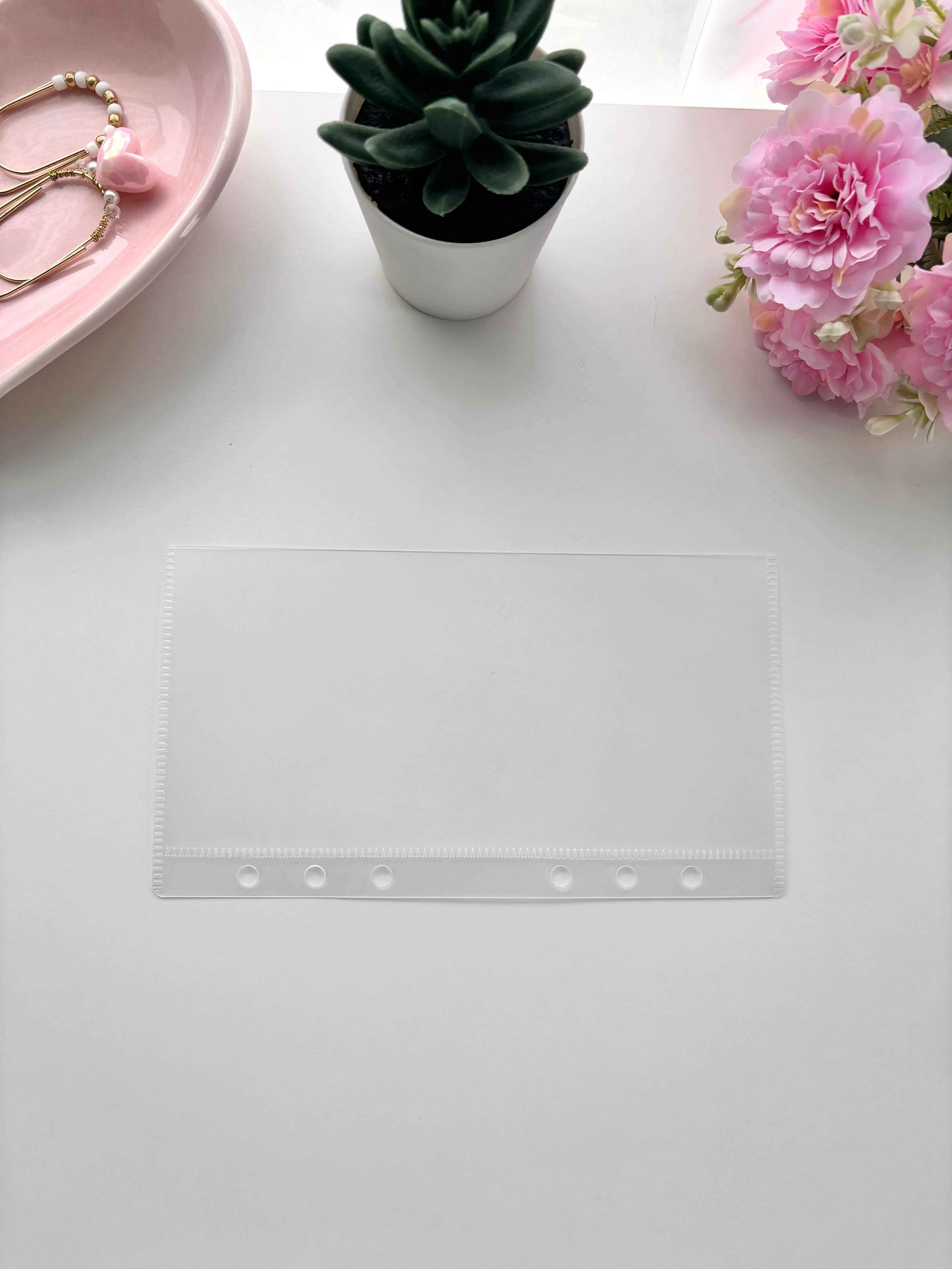 Frosted Cash Envelopes