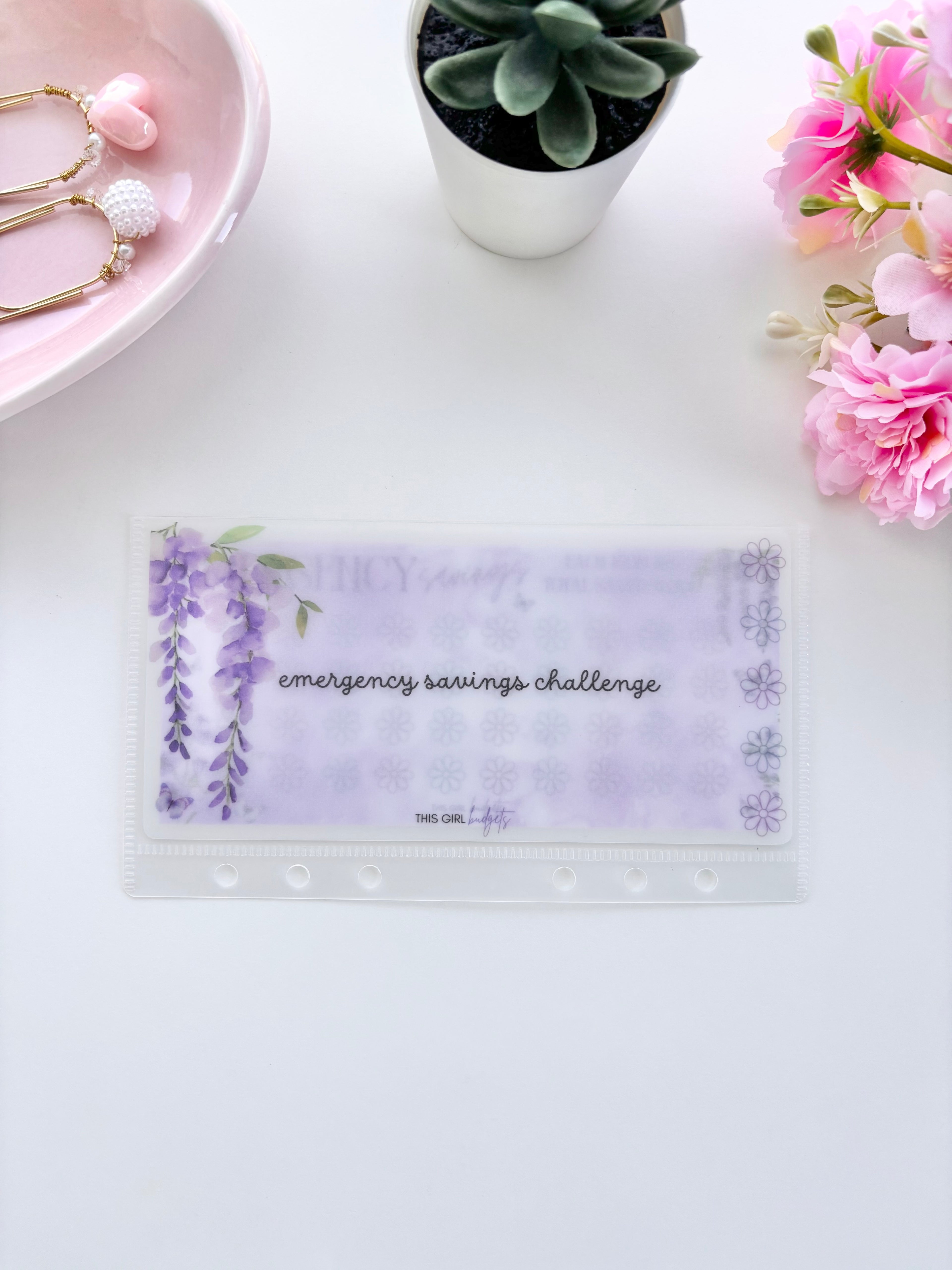 Emergency Savings Challenge (Single)