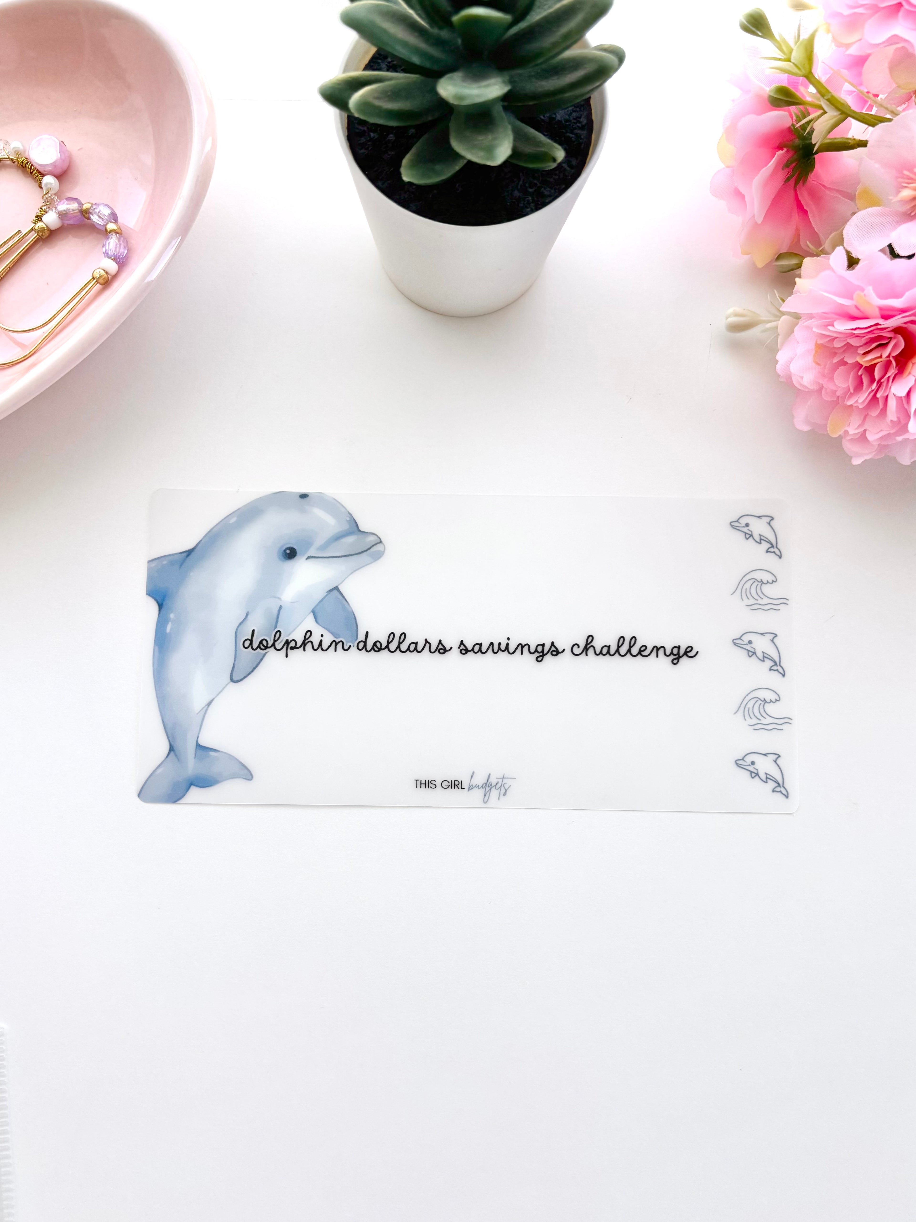 Dolphin Dollars Savings Challenge