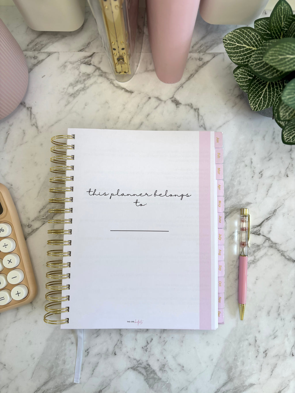 *IMPERFECT* This Girl Budgets Budget Planner
